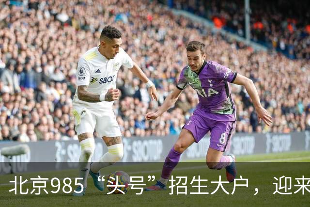 北京985“头号”招生大户，迎来新任副校长
