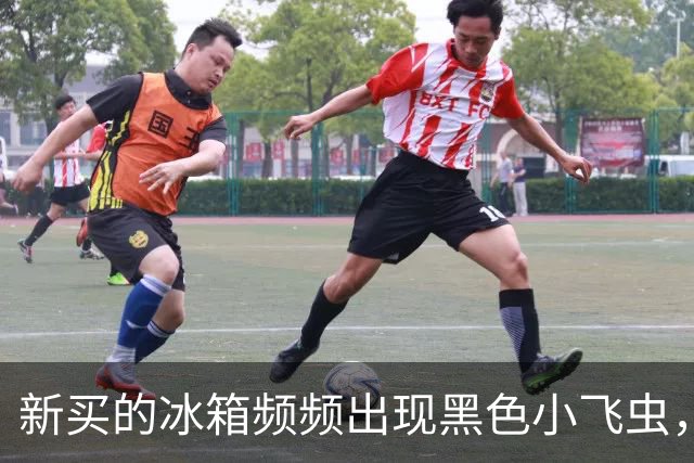新买的冰箱频频出现黑色小飞虫，市民投诉称“冰箱门太松”要求退货，商家回应：之前换过一次机，卖了50多台只有他们家出现问题