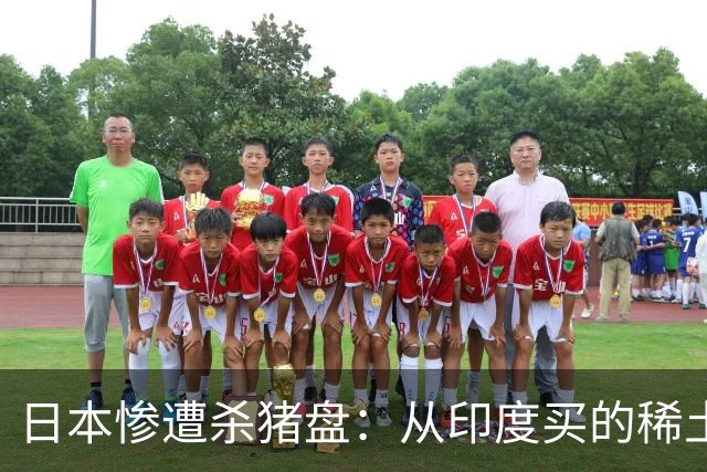 日本惨遭杀猪盘：从印度买的稀土都是中国货，这下血本无归了