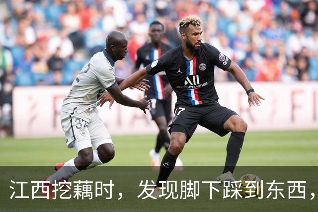 江西挖藕时，发现脚下踩到东西，众人合力将其挖出后全都傻眼